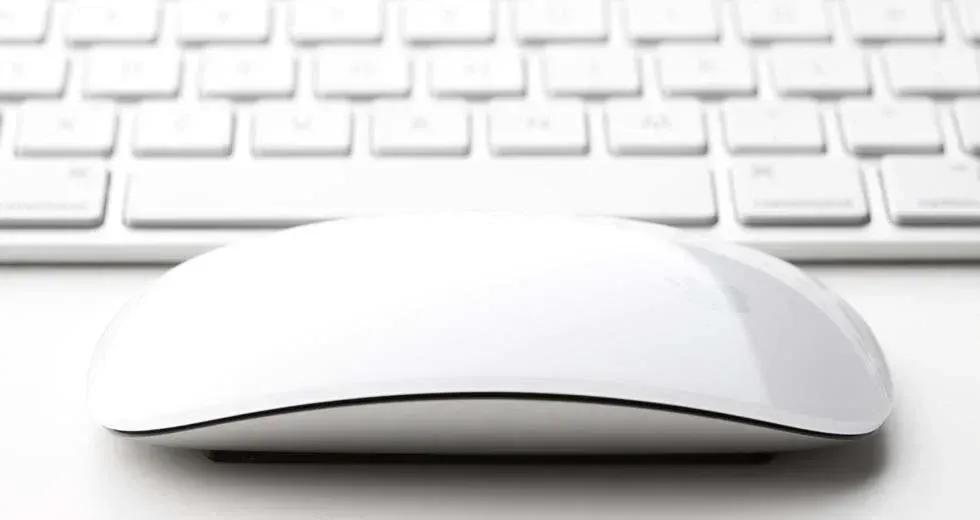 image (12).webp