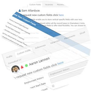 worksmart_customfields_49b7ba8171.jpg